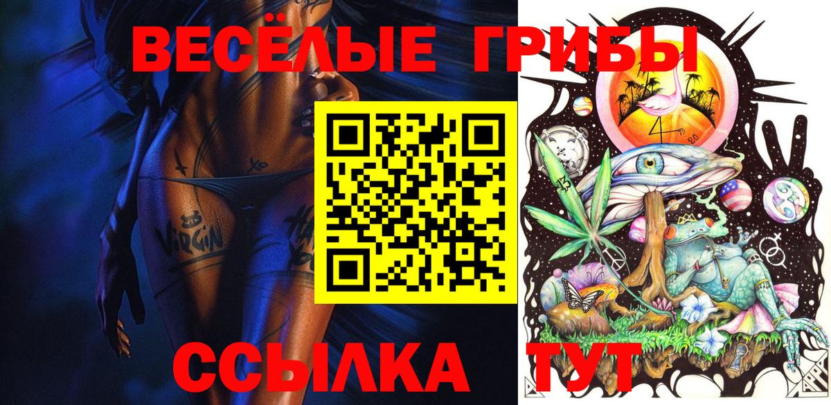Псилоцибиновые грибы GOLDEN TEACHER Междуреченск